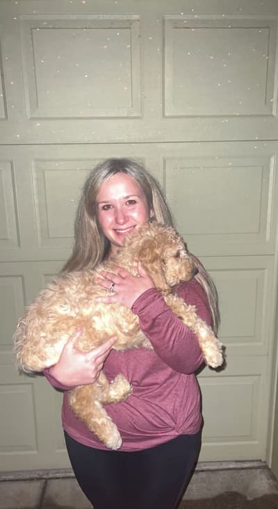 Orrick, a Labradoodle puppy from Pawrade