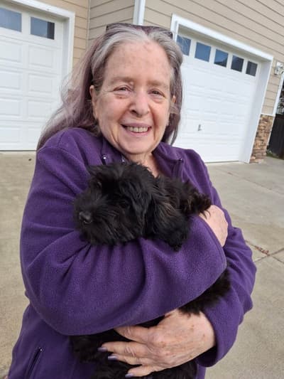 Montana, a Havanese puppy from Pawrade