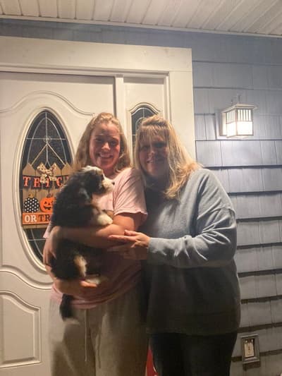 Lip, a Bernedoodle, Mini puppy from Pawrade