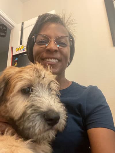 Oxana, a Soft Coated Wheaten Terrier puppy from Pawrade