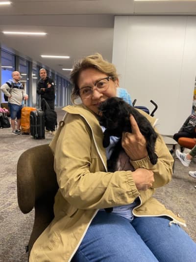 Marissa, a Yorkiepoo - Yorkie Poo puppy from Pawrade