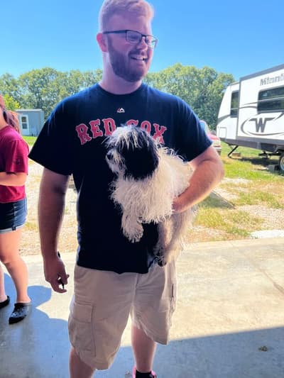 Amber, a Shih-Poo - Shihpoo puppy from Pawrade