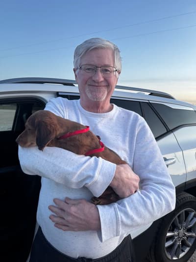Herold, a Dachshund, Mini puppy from Pawrade