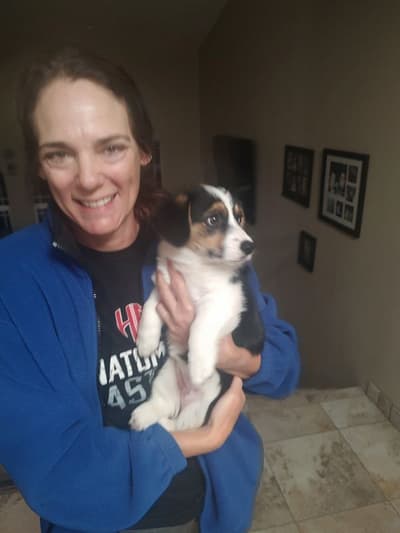 Tamara, a Corgi, American puppy from Pawrade
