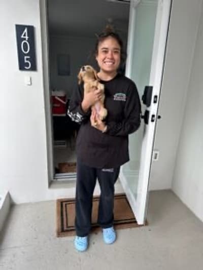 Lucy, a Dachshund, Mini puppy from Pawrade