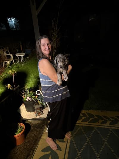 Kiera, a Great Dane puppy from Pawrade