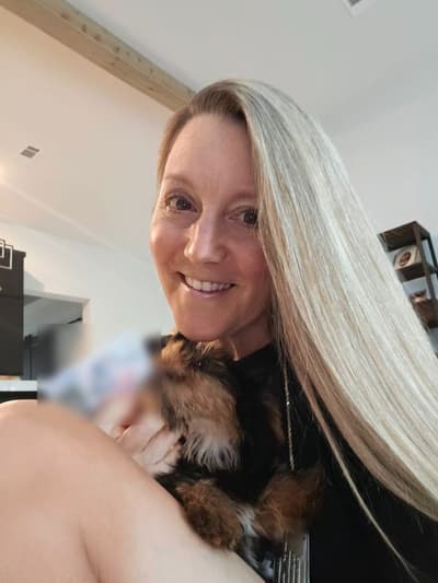 Indie, a Yorkshire Terrier - Yorkie puppy from Pawrade