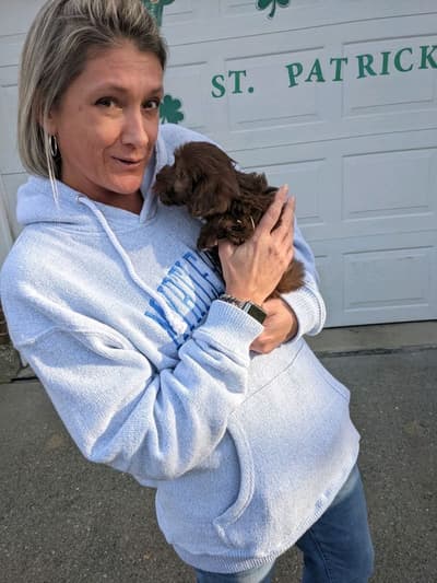 Turbo, a Havapoo puppy from Pawrade