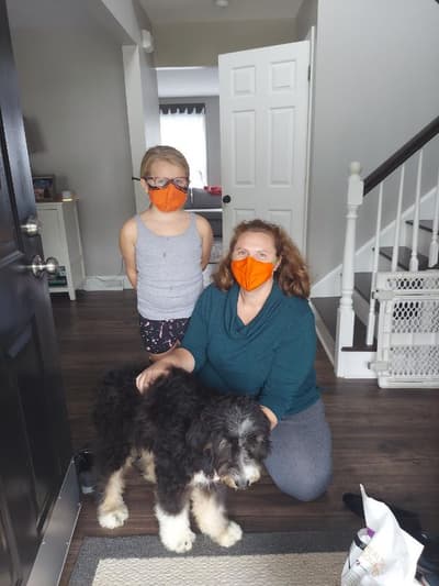 Rusty, a Bernedoodle puppy from Pawrade
