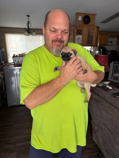 Jewel, a Pug puppy from Pawrade