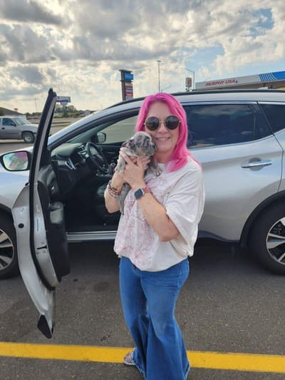 Christina, a Frenchton puppy from Pawrade