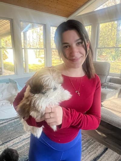 Ginny, a Shih Tzu puppy from Pawrade