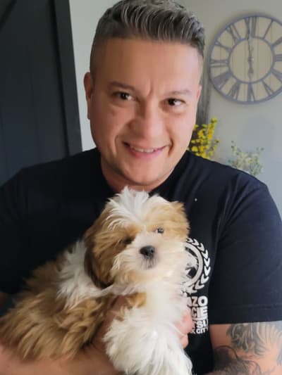 Kelly, a Shih Tzu puppy from Pawrade