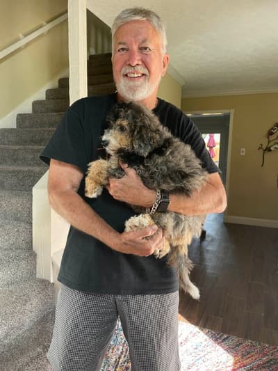 Archie, a Bernedoodle, Mini puppy from Pawrade