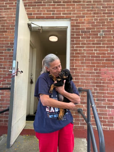 Dallas, a Rottweiler puppy from Pawrade