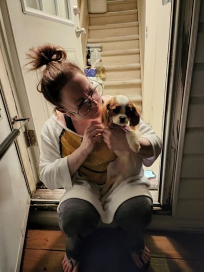 Pearl, a Cavalier King Charles Spaniel puppy from Pawrade