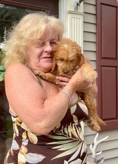 Layla, a Goldendoodle, Mini puppy from Pawrade