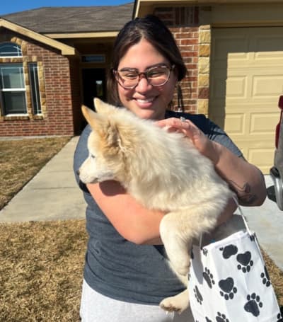 Rylan, a Pomsky puppy from Pawrade