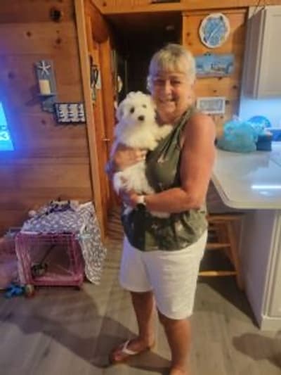 Kenny, a Maltese puppy from Pawrade