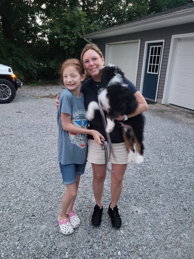 Stiles, a Bernedoodle, Mini puppy from Pawrade