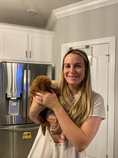 Primrose, a Poodle, Toy puppy from Pawrade