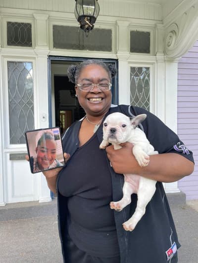 Fitz, a French Bulldog puppy from Pawrade