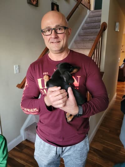 Jazlyn, a Dachshund, Mini puppy from Pawrade