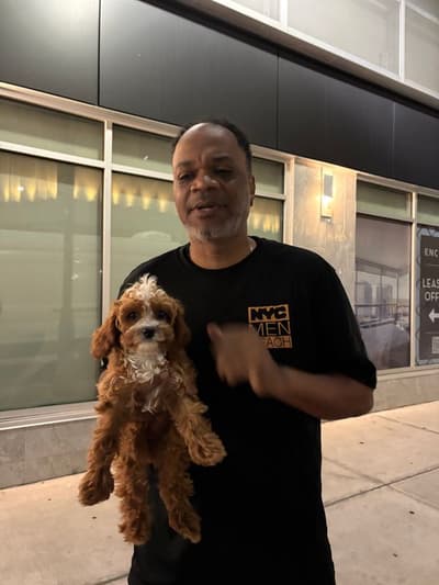 Gideon, a Cavapoo puppy from Pawrade