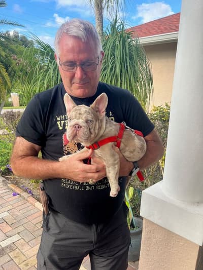 Bloom, a French Bulldog puppy from Pawrade