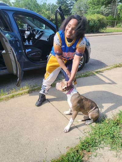 Cara, a American Bully puppy from Pawrade