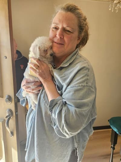 Bella, a Bichon Frise puppy from Pawrade