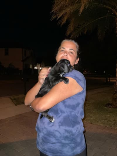 Talon, a Puggle puppy from Pawrade