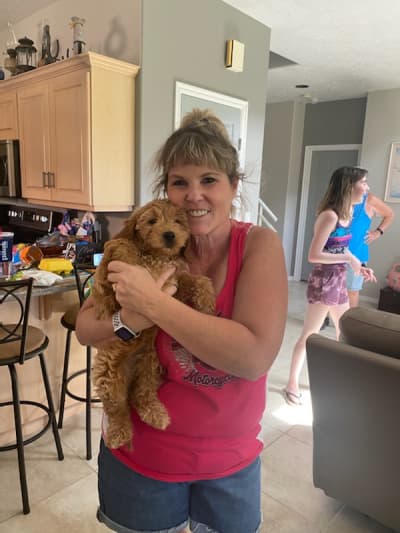 Havyn, a Goldendoodle, Mini puppy from Pawrade