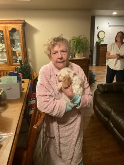 Kenzi, a Cavachon puppy from Pawrade