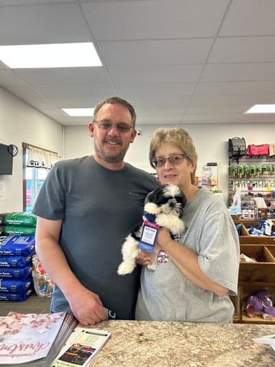 Diana, a Shih Tzu puppy from Pawrade
