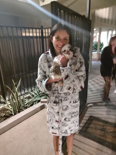 Venus, a Shih Tzu puppy from Pawrade