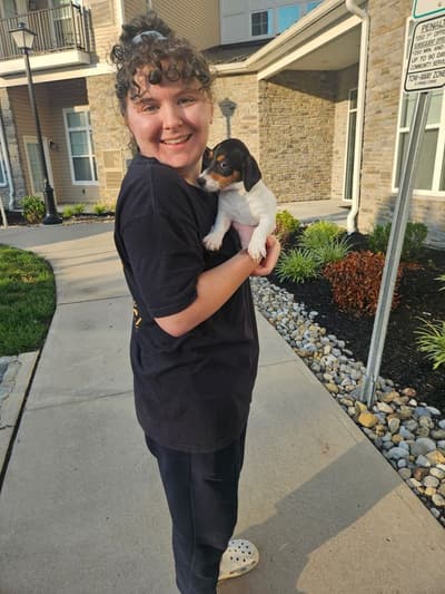 Finn, a Jack Russell Terrier puppy from Pawrade