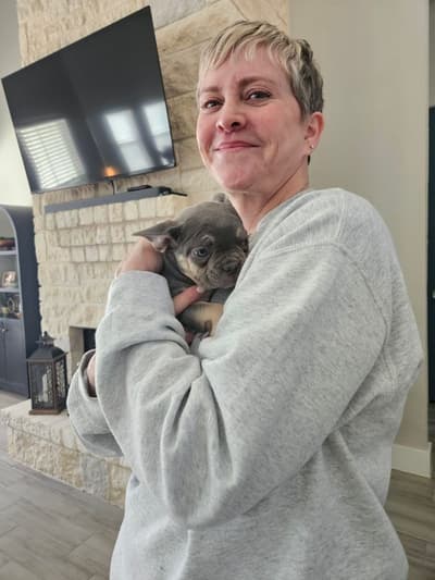 Opal, a French Bulldog puppy from Pawrade