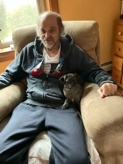 Dana, a Pug puppy from Pawrade