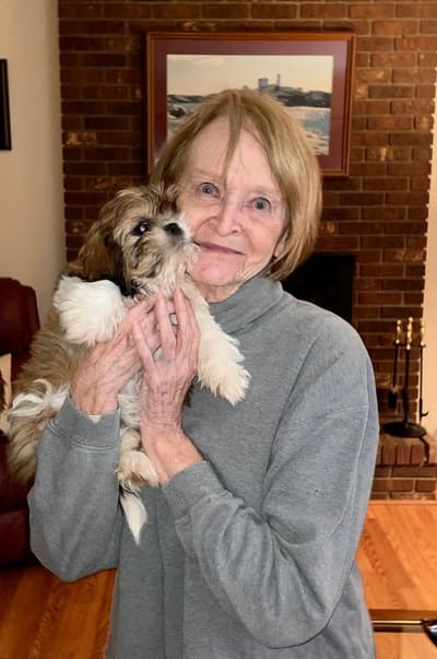 Abby, a Shih Tzu puppy from Pawrade