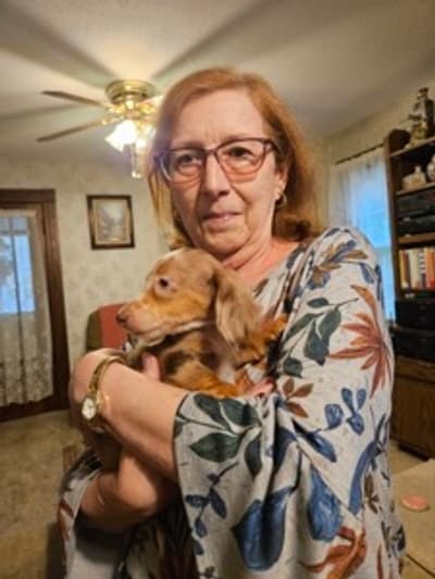 Eddie, a Dachshund, Mini puppy from Pawrade
