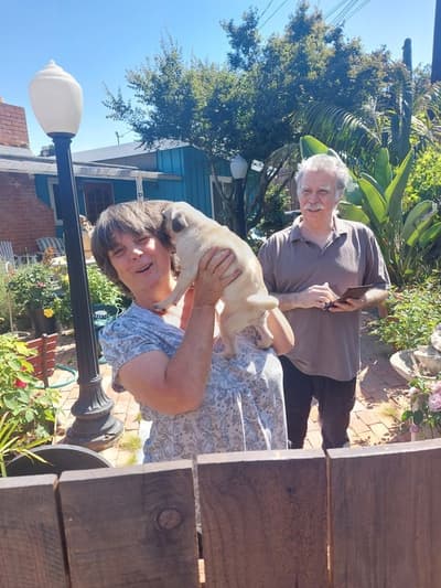 Dalia, a Pug puppy from Pawrade