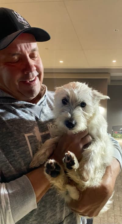 Chase, a West Highland White Terrier - Westie puppy from Pawrade