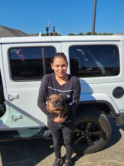 Talon, a Frenchton puppy from Pawrade