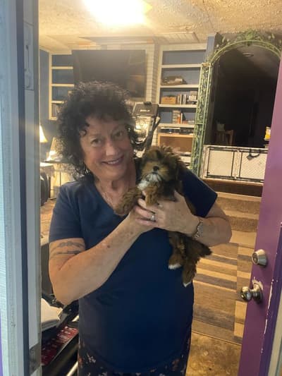 Felicity, a Shorkie puppy from Pawrade