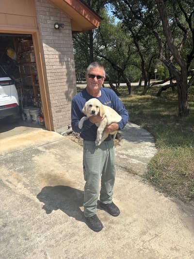 Michelle, a Labrador Retriever puppy from Pawrade