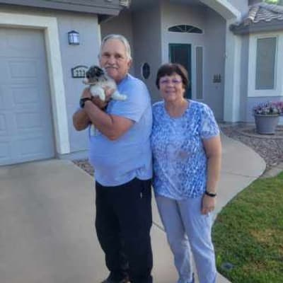 Sara, a Miniature Australian Shepherd puppy from Pawrade