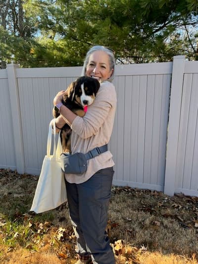 Brooklyn, a Greater Swiss Mountain Dog puppy from Pawrade