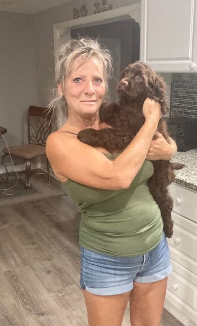 Coco, a Cocker Spaniel puppy from Pawrade