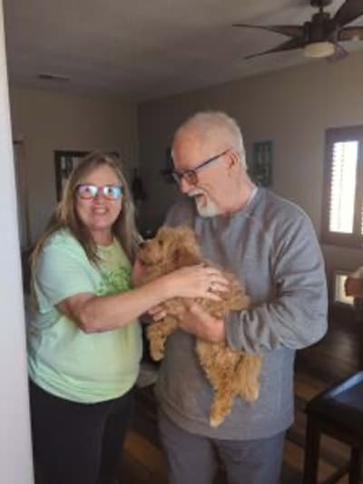 DeeDee, a Goldendoodle, Mini puppy from Pawrade